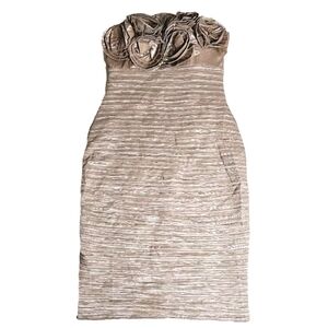 Forever 21 Small Brown Metallic Strapless Prom Cocktail Evening Party Dress